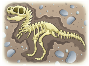 Fun Fossils and Formations